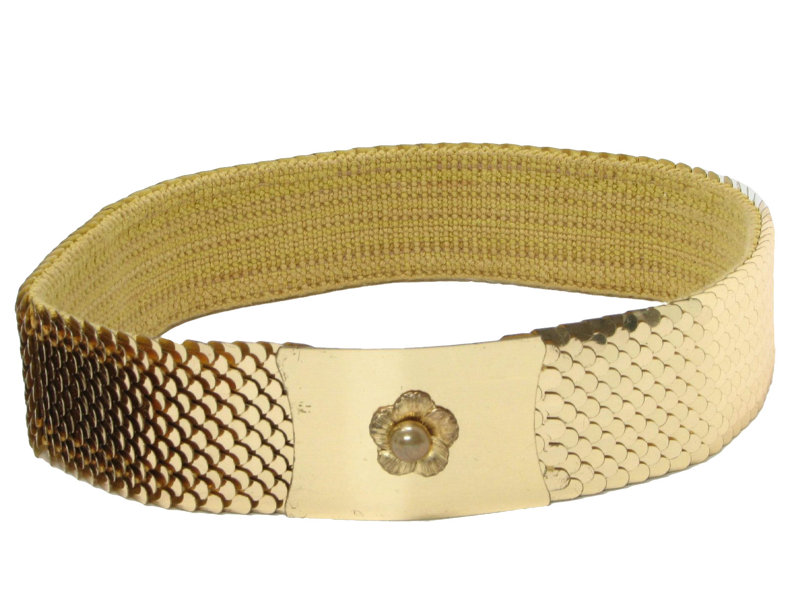 Fish Belt