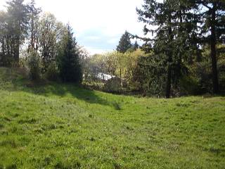 the wilds