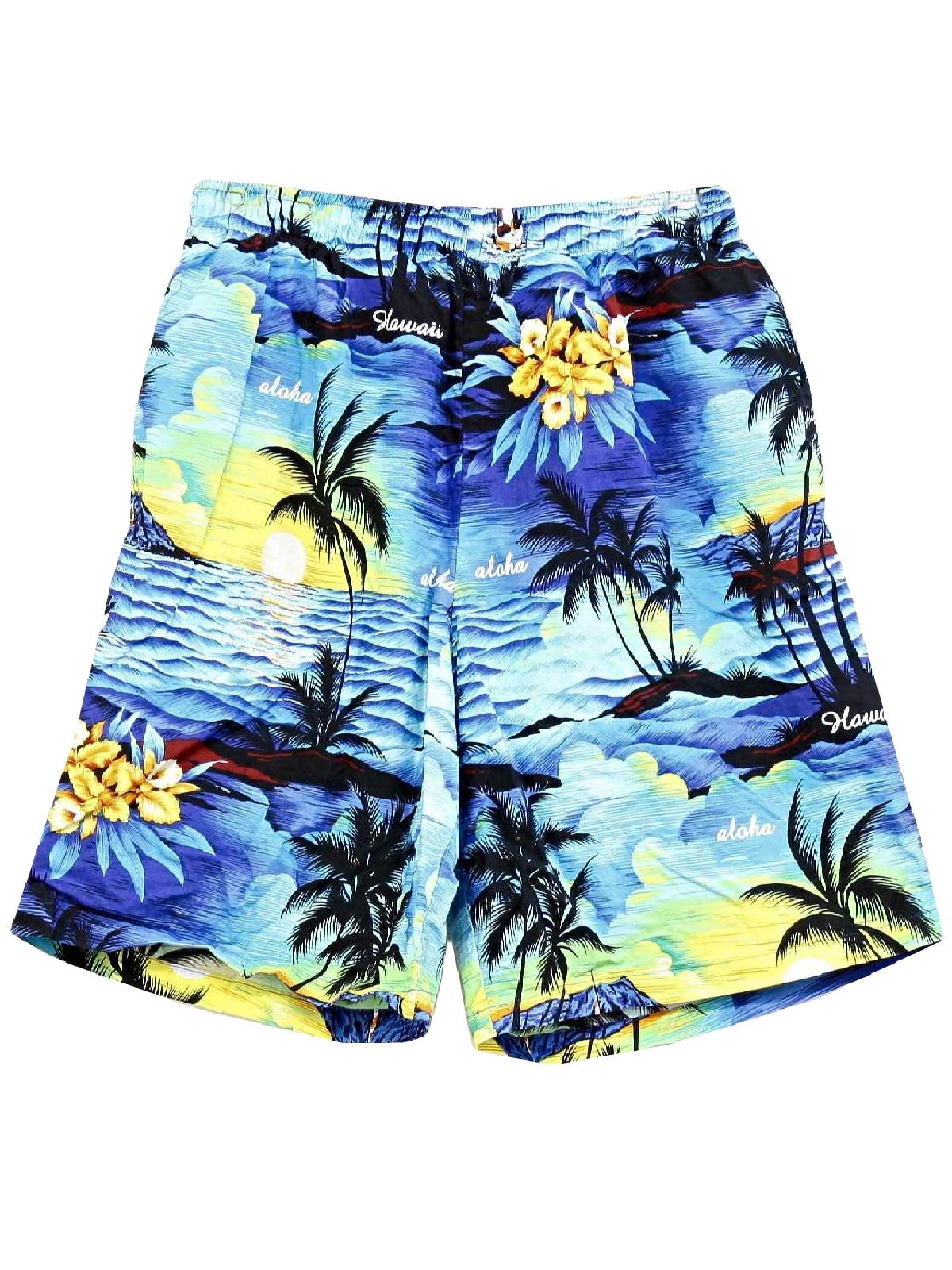 1990's Retro Shorts: 90s -Missing Label- Mens blue background with ...