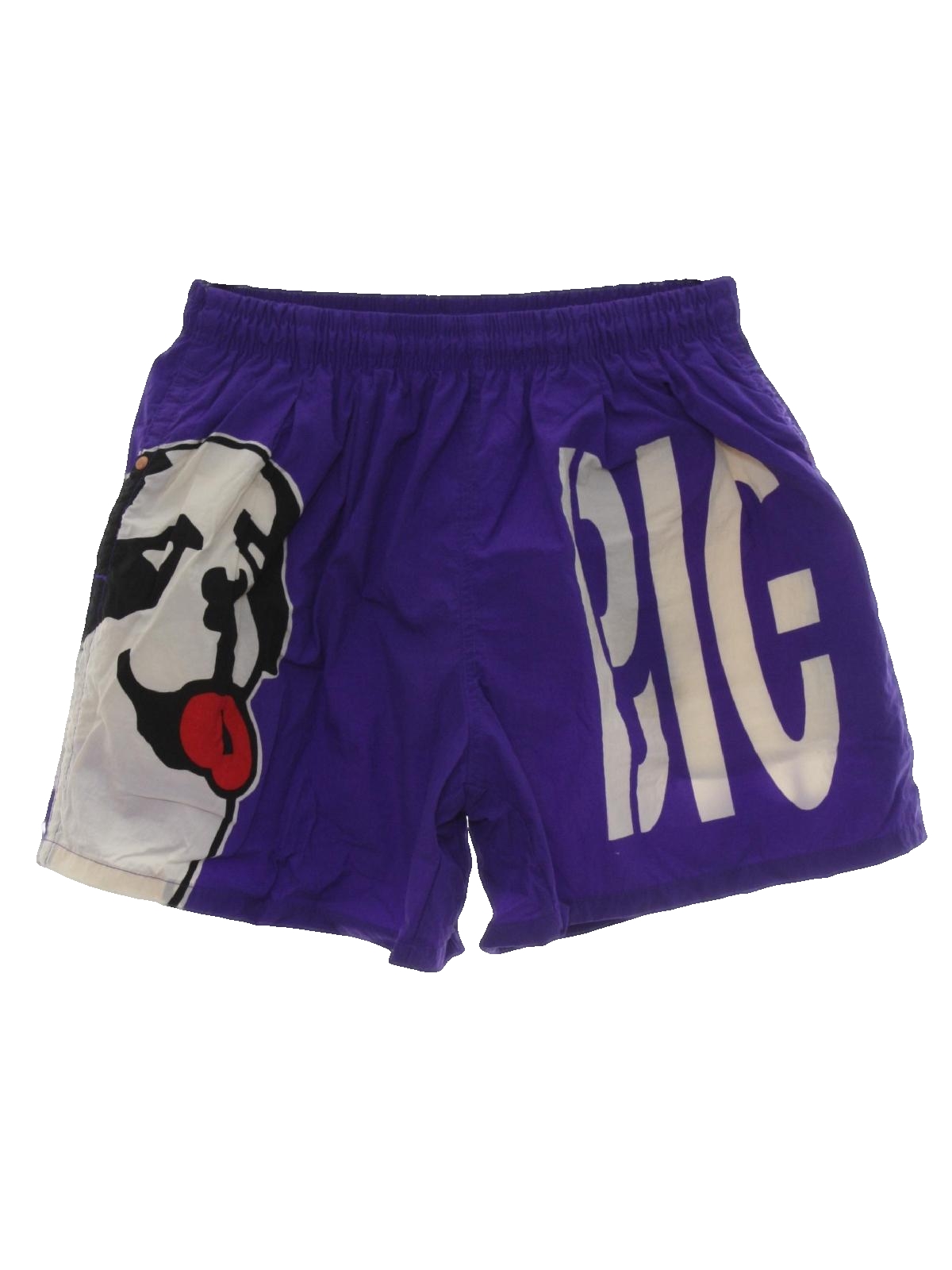 swim shorts for dogs