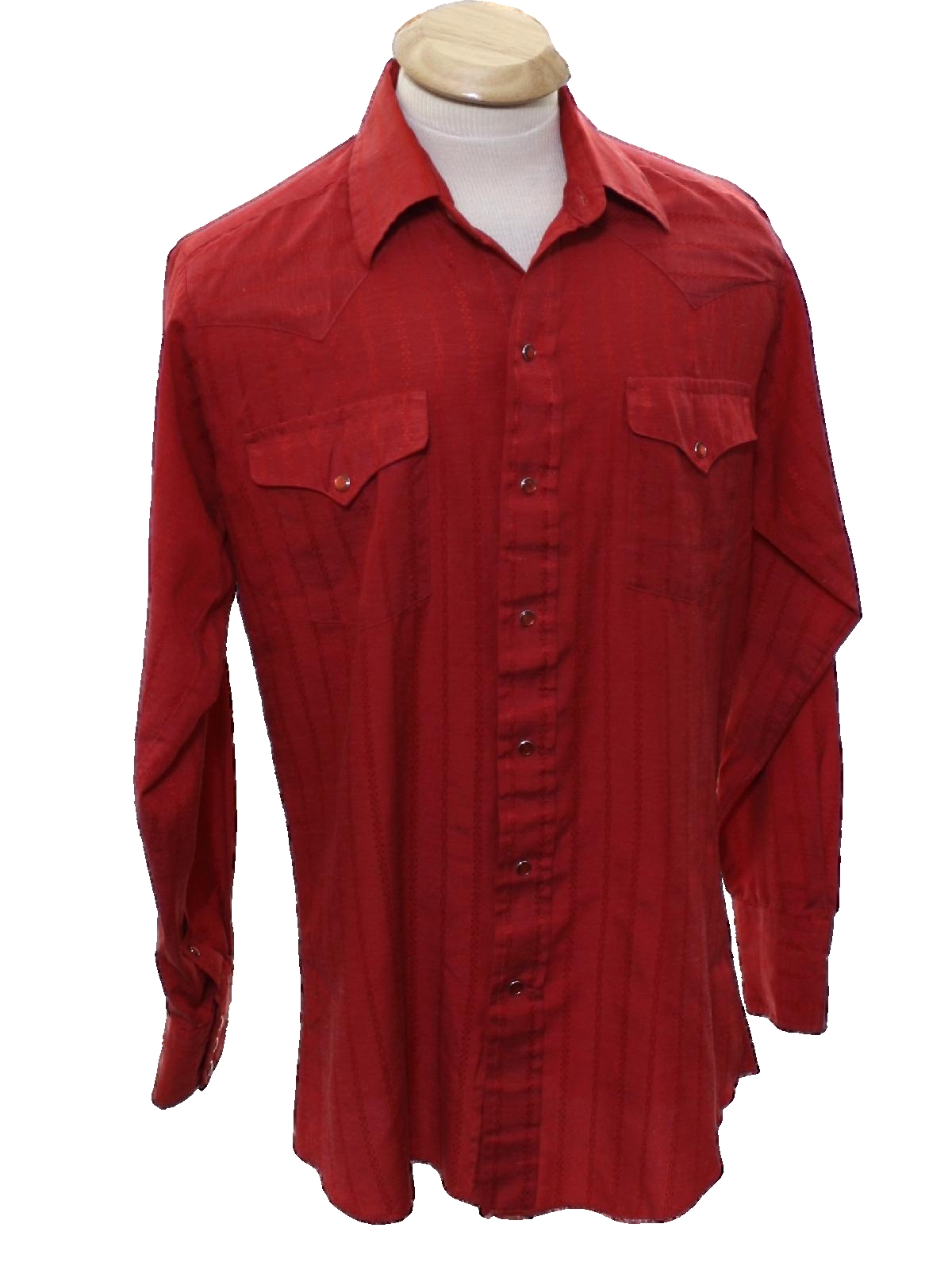 citizens of humanity jules slim western shirt
