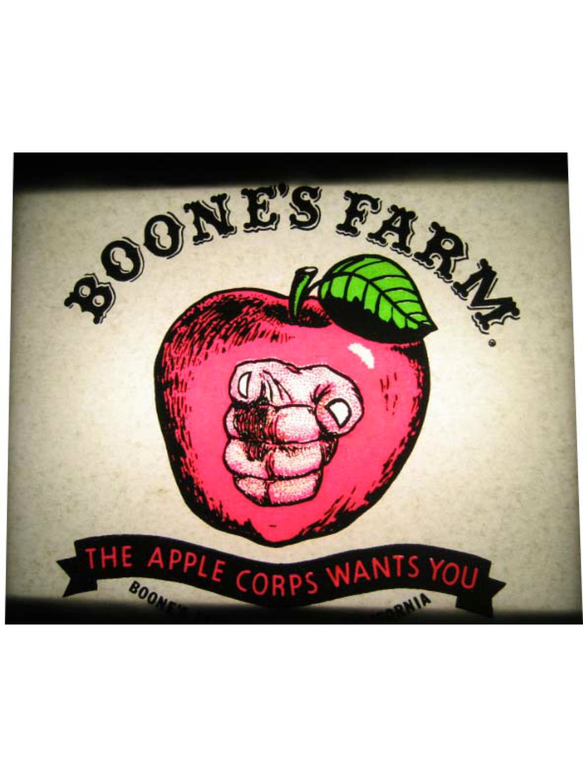 boones farm shirt