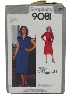 1980's Womens Pattern