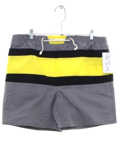 1980's Mens Totally 80s Swim Shorts