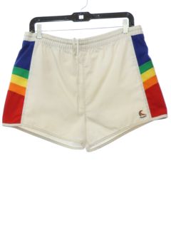 1980's Mens Sea Waves Totally 80s Rainbow Swim Shorts